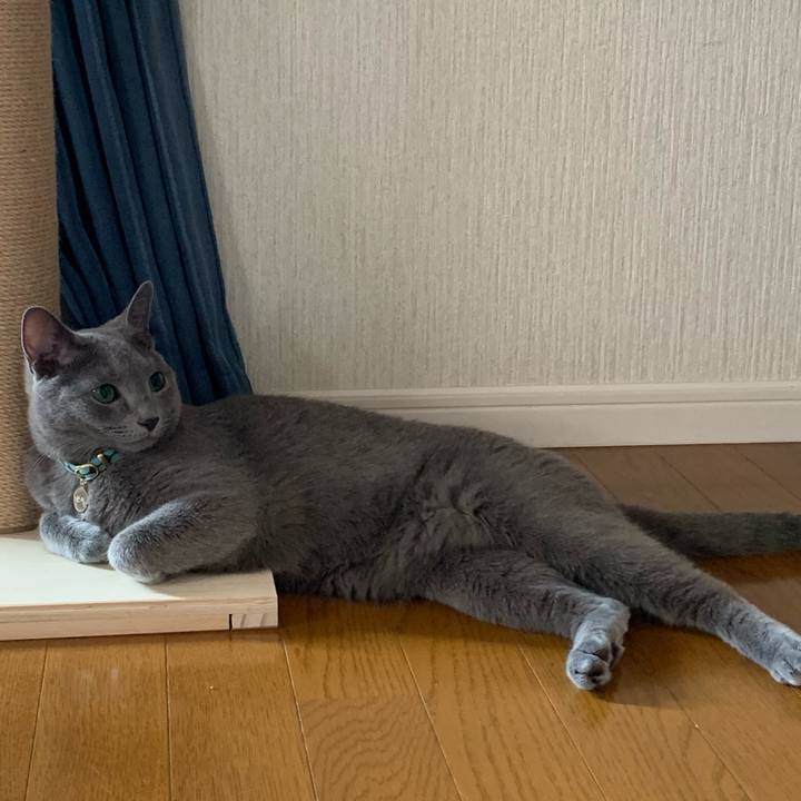 0d0fee9c c134 4164 aa6d 713008307130 1600503776825