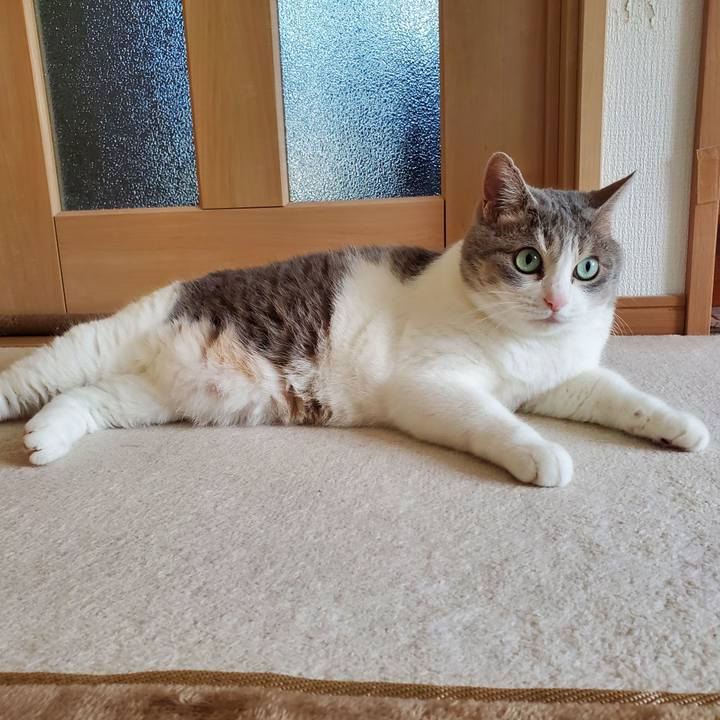 0d0ffb67 9fa5 407b b9b7 171b418867e7 1721664216572