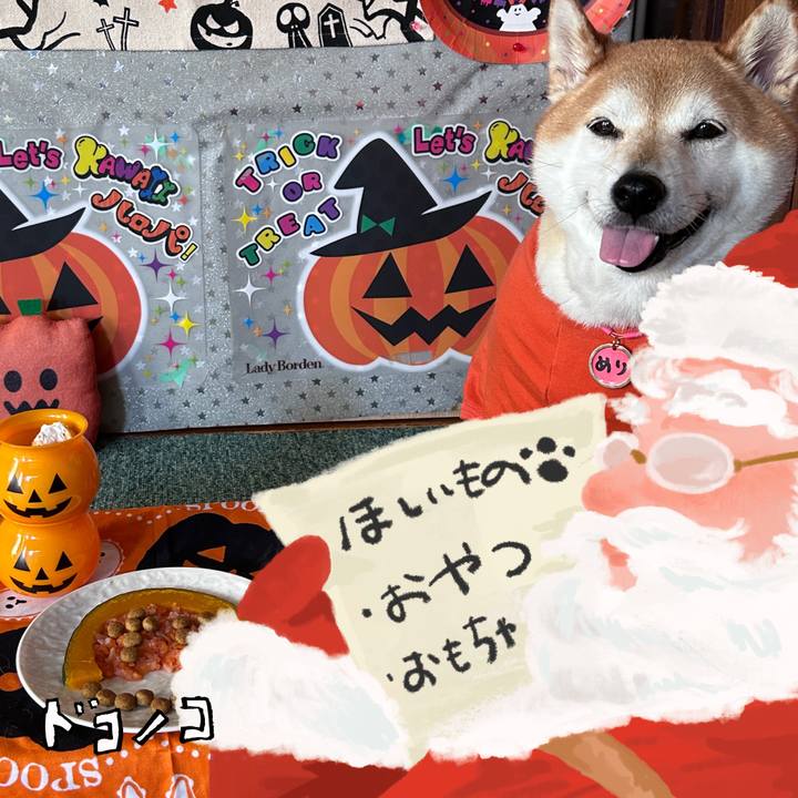 0d1016a1 f587 455d b86e bba46f0e1394 1729048500207