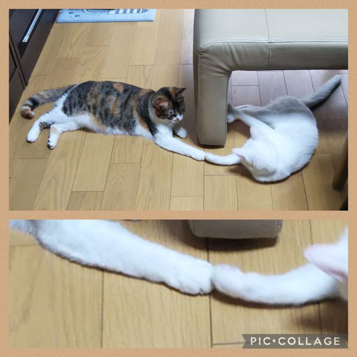 0d101e71 c8c7 4dfb 92a9 2721e1ab8f5d 1654561159006