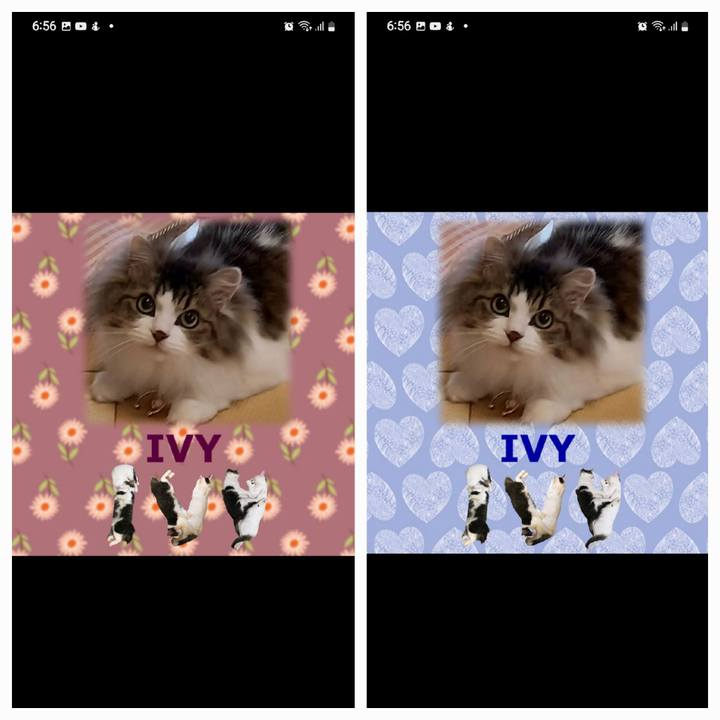 0d10346d 5a9e 4602 a31d b82295255b93 1668678824316