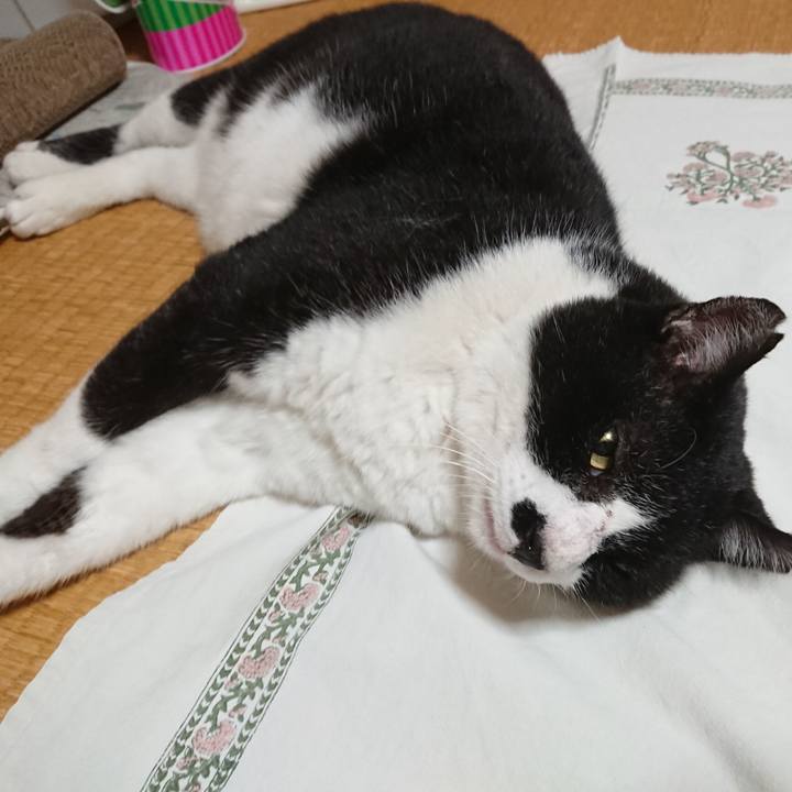 0d104660 8b3a 4cf2 99d0 637f8926cbcf 1600762599900