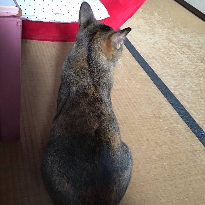 0d105336 3f5f 4b4b bac3 c944aa2be362 1598658545142