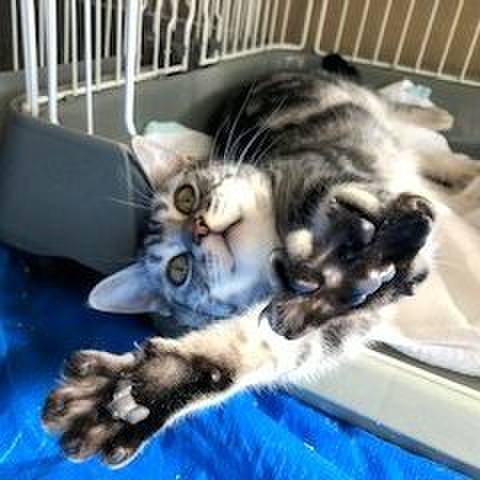 0d105feb 0a12 437e b79b dfdeeff80298 1548074430937