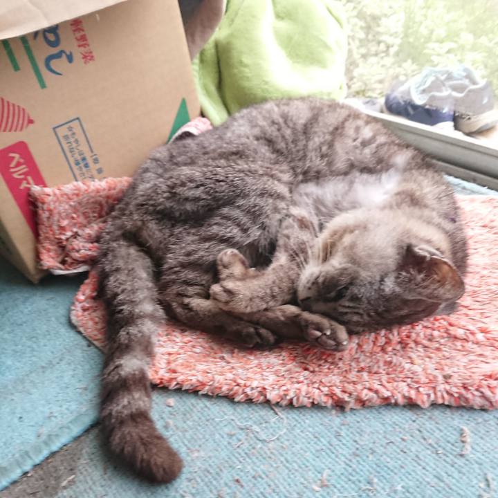 0d109c15 138c 4db3 a89b 41b3c61e821b 1598391641244