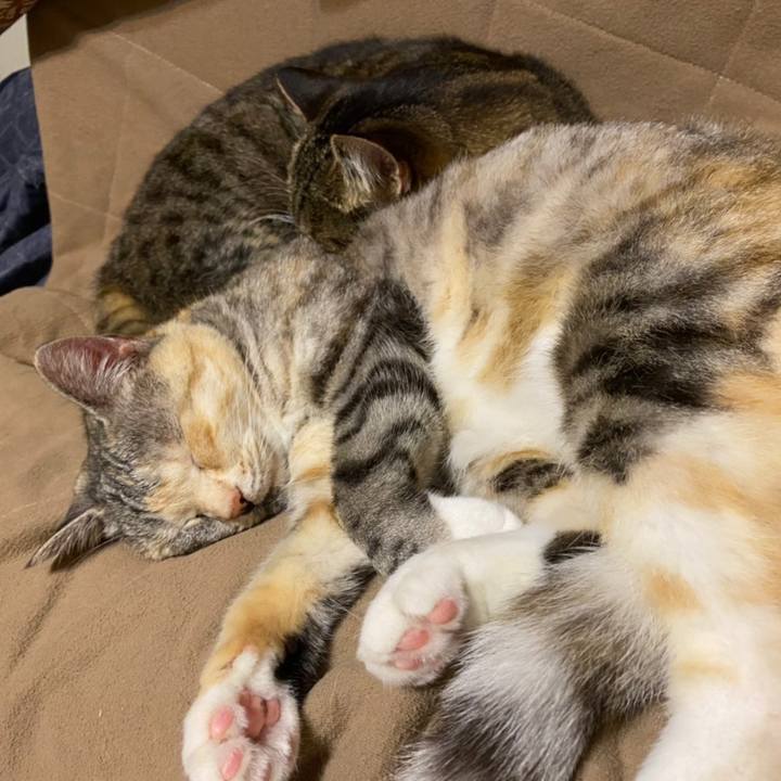 0d109e45 15ce 4630 b490 ffafb7533e25 1616329822115