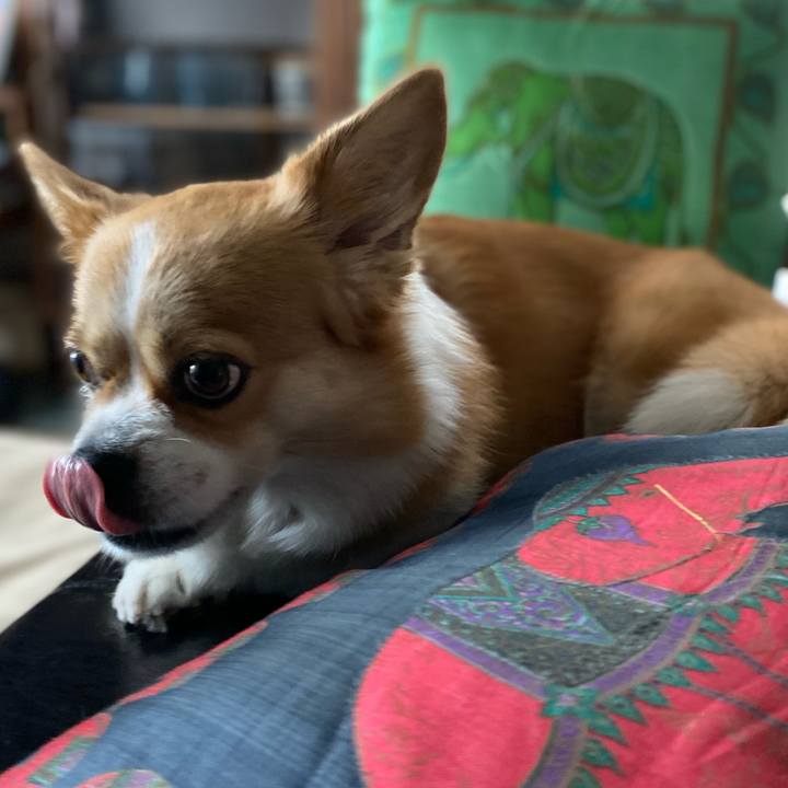 0d10bedb fa38 456e 8df8 195902ce2538 1659308183318