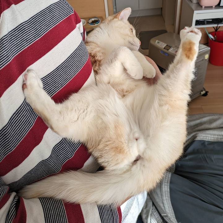 0d10d2af 97e5 4023 8aee d435dcacd975 1708733450899