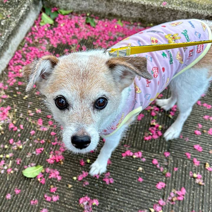 0d10eb2a eb73 4569 98e5 5c996218bd12 1723849282664