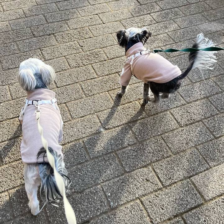 0d112beb 18b9 4074 b5f9 6492e5ff3249 1767162582552