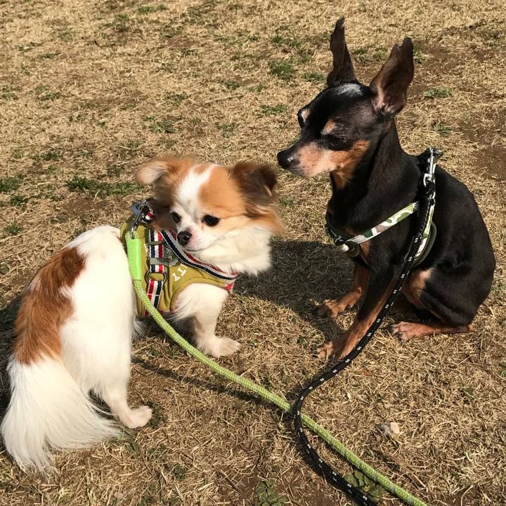 0d1148aa 548f 4b07 ae21 e67e5c819c8b 1584668251097