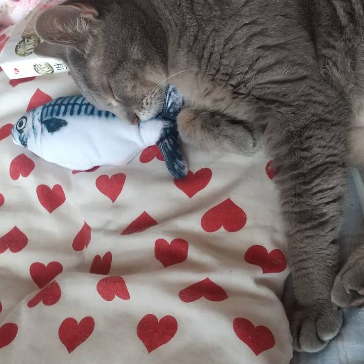 0d114aef d2e2 405d b7ae f4189c0f9be0 1658634139165