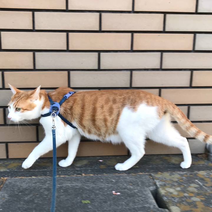 0d1151f2 ee47 432e b02d 61f882974ebd 1515737805669