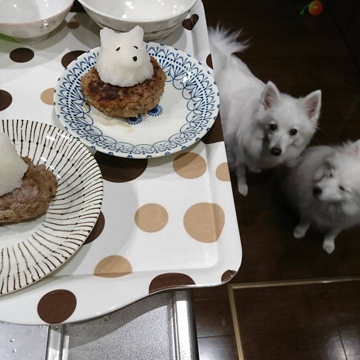 0d11a28a c669 4fe5 a64c 19e1a49468b8 1552050330499