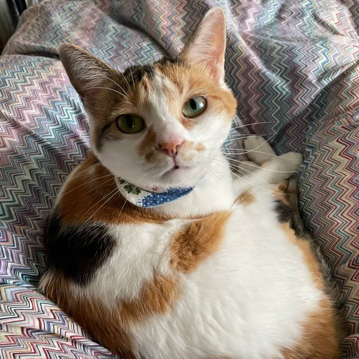 0d11a8af 5715 4939 bfcb f72de68a9617 1719039817476