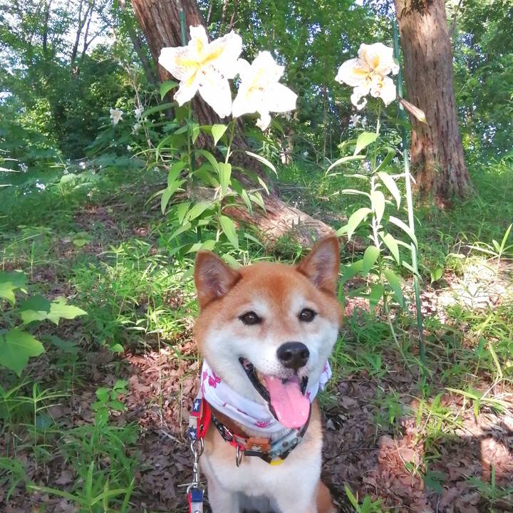 0d11b343 b8f9 4820 8c76 4075286799a6 1689064339481