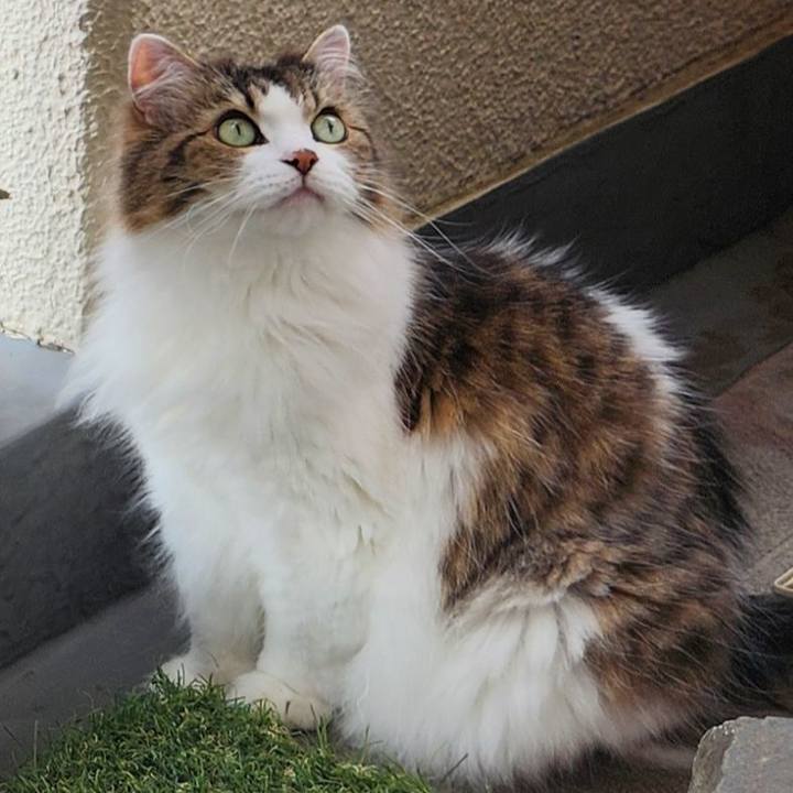 0d11d873 58c4 4ef0 abef e51991e3487f 1727520482255