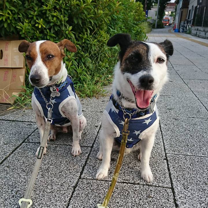 0d11f0aa dd59 4f23 aa69 dedb745107e7 1597353448622