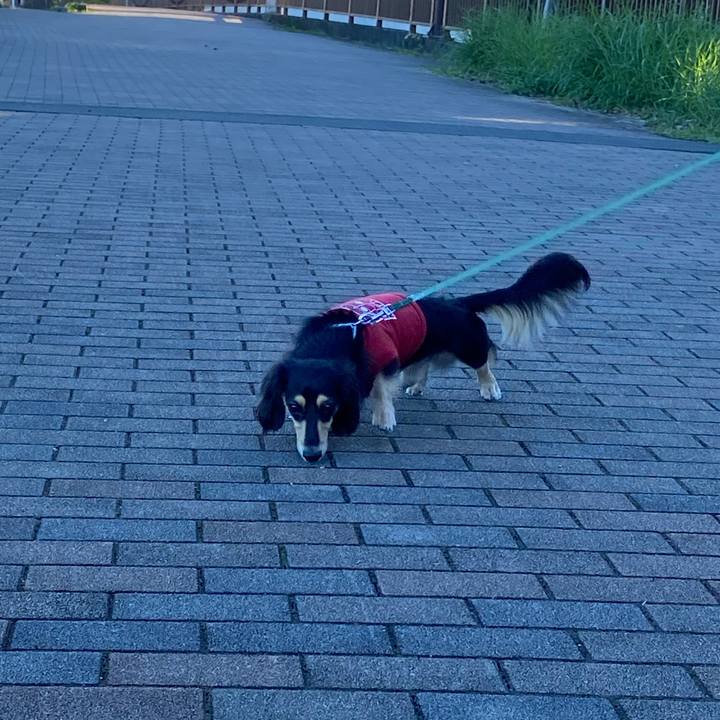 0d120d27 b2ab 4a41 9185 1958dcaab364 1698617564735