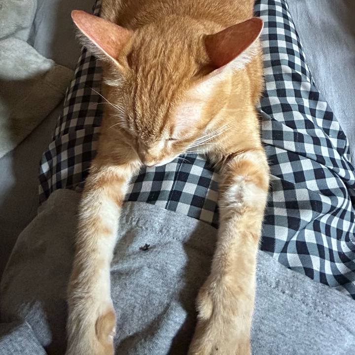 0d125432 0639 411f 80e0 90e177fc3f3c 1683217929777