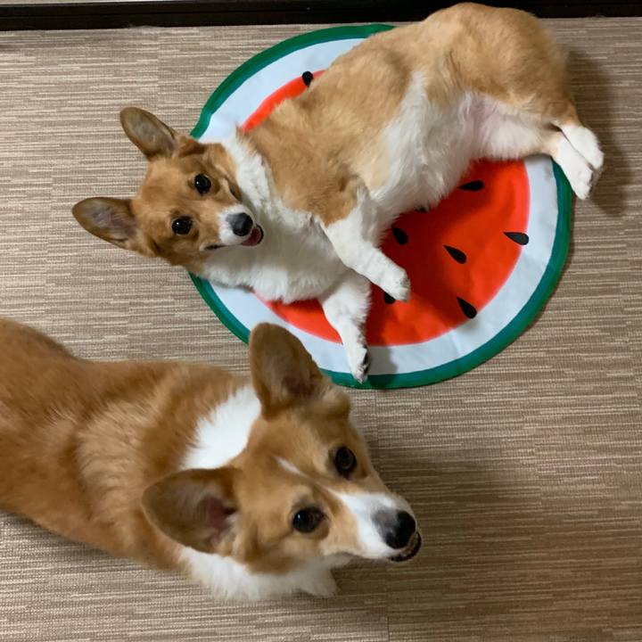 0d12692d 2638 4ee2 bada 5375d216e196 1564708742361