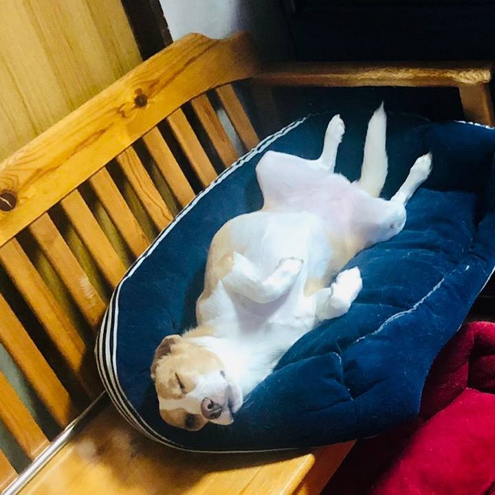 0d127d3c 5bbb 41b2 b07f c903674a4717 1602569654264