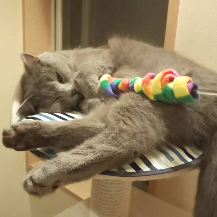 0d128b86 c277 418e 8ccc f1305cb6930e 1537322209533