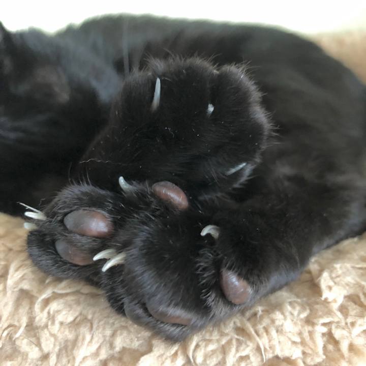 0d12bd73 2be2 4778 a2aa bc3299c30906 1603975853647