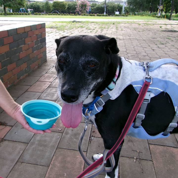 0d132750 e7fb 4ce3 99fa 130fa4f00ff0 1754701152165