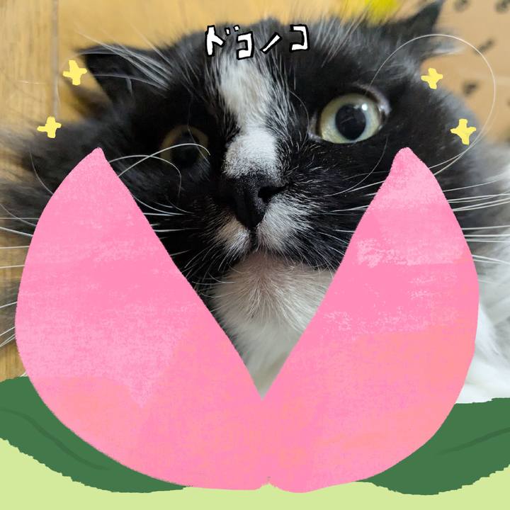 0d1360e6 ea84 487f 83ee bfaf2c03e608 1772190995107