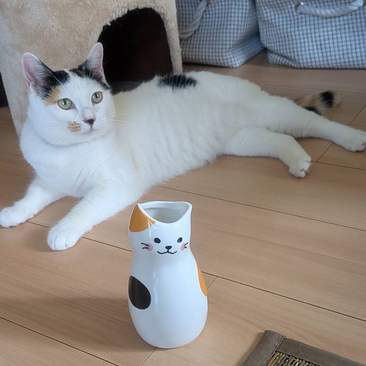 0d136cc9 1a8d 47c8 88f5 96d05e40a0bd 1750121746373