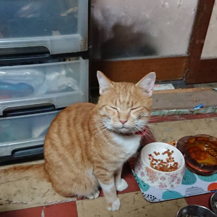 0d13c2d0 2ee9 4ca6 8a1d 86e5eaaf6d93 1572661269794