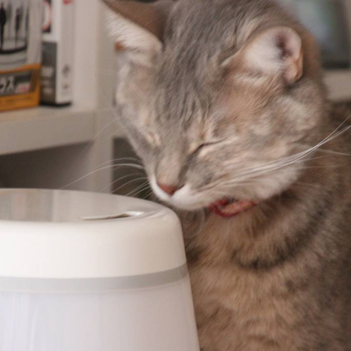 0d140aad 6346 4951 9d11 f861cad97a01 1512355370099