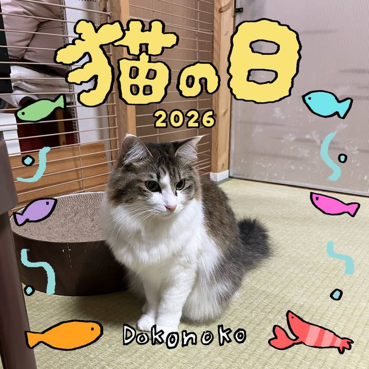 0d141e37 5e4d 4efd ba79 9d3f23173aed 1771739597514