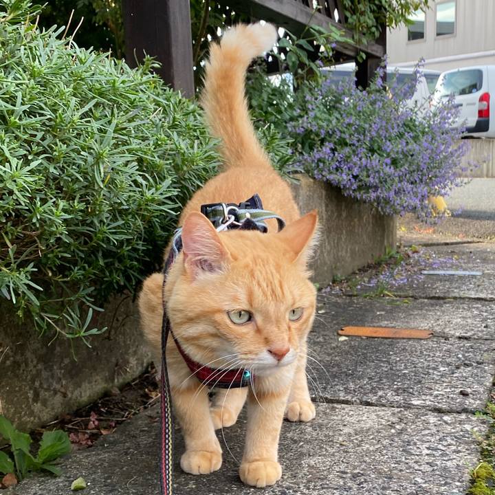 0d1429b3 ab97 43ad 9437 0f671a38ed42 1629622980852