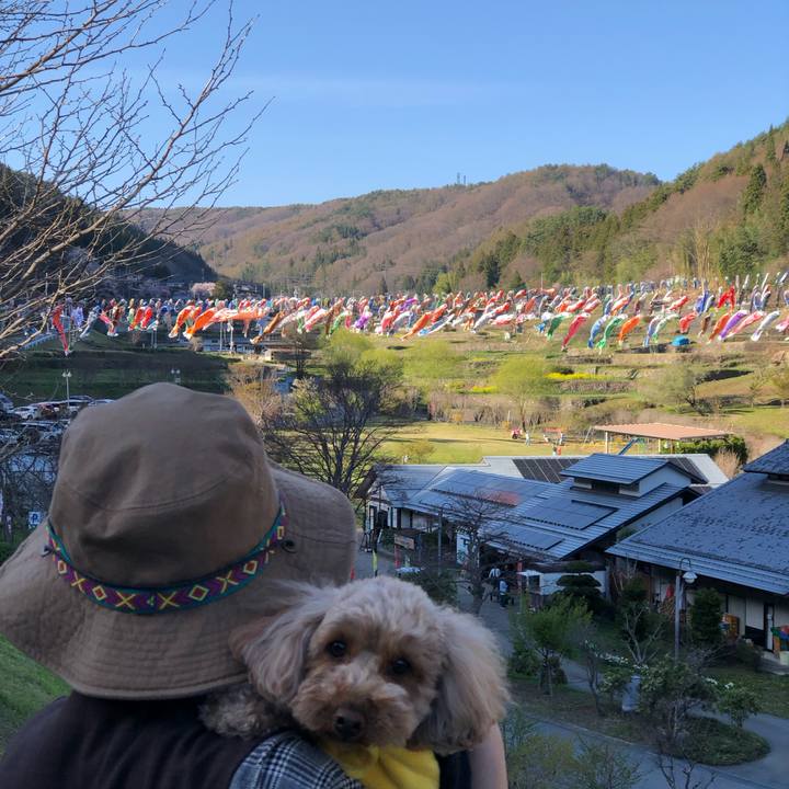 0d143034 2566 42c6 977a d2f40d24bc7f 1776583459114