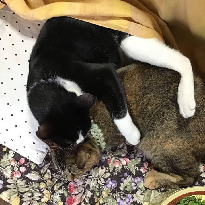 0d143176 2f80 4df9 95d0 3cd6fcc8e6ee 1640393755974