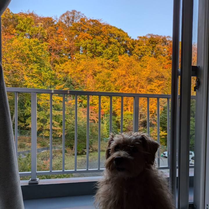 0d148adb 9f06 4ae7 8521 6cdab6d011d9 1729806040259