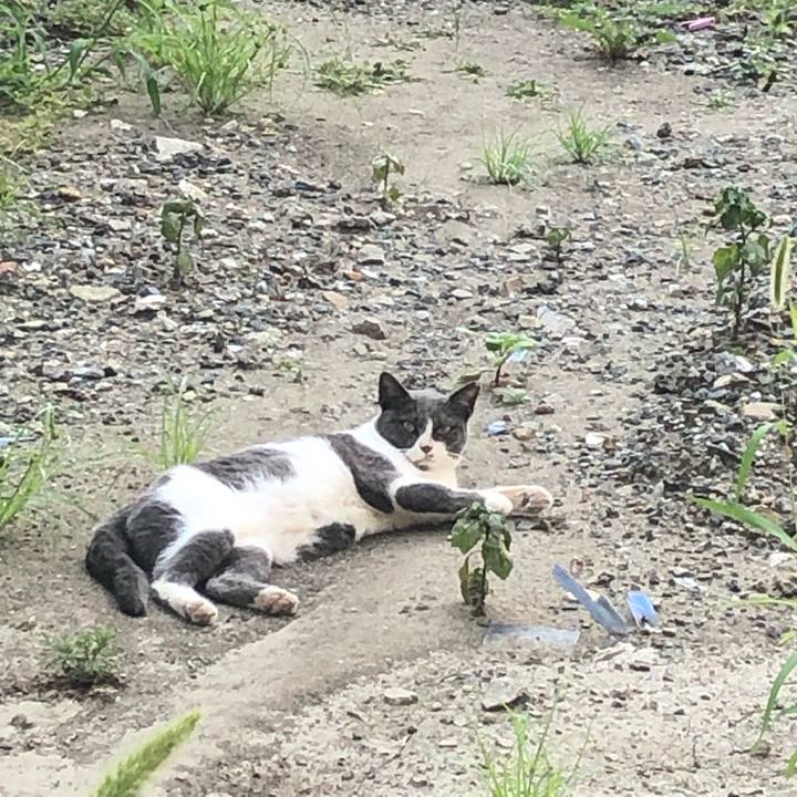 0d14ac7e b66e 41eb 919b c214e70f4055 1630703658788