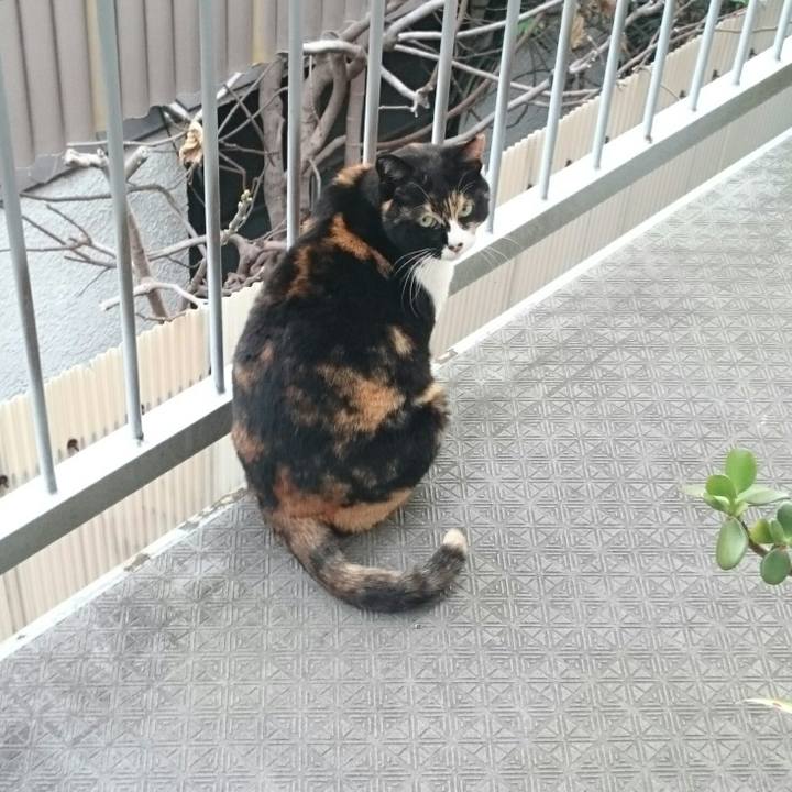 0d14af2c 2ac0 43a5 b47f 2d4867619bc1 1521417300826