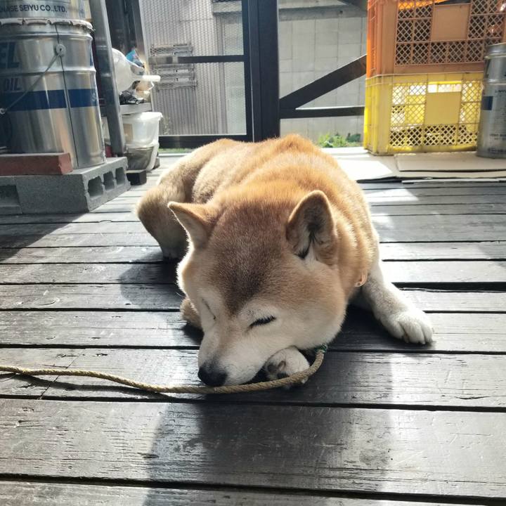 0d14bc75 2fe7 40f0 ae7f ddbd30278190 1681943717554