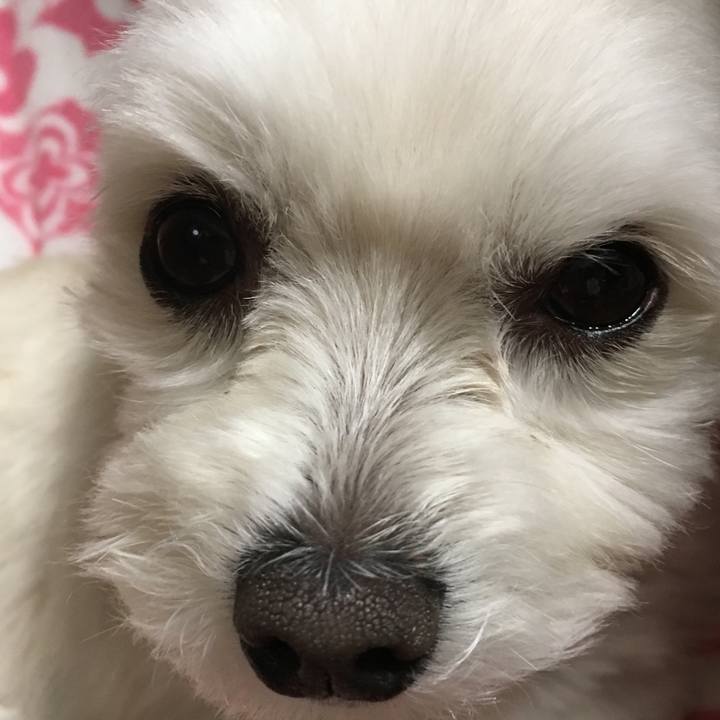 0d14db2a 4790 46c9 b025 40367ccb3aa2 1548505695061