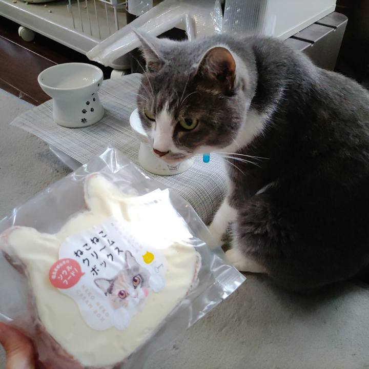 0d14ee27 6cd3 4500 8b96 6c9e65540b34 1720591409688