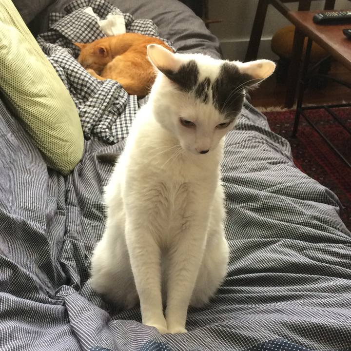 0d158928 cc8b 4442 b332 e16a89443d64 1508292149385