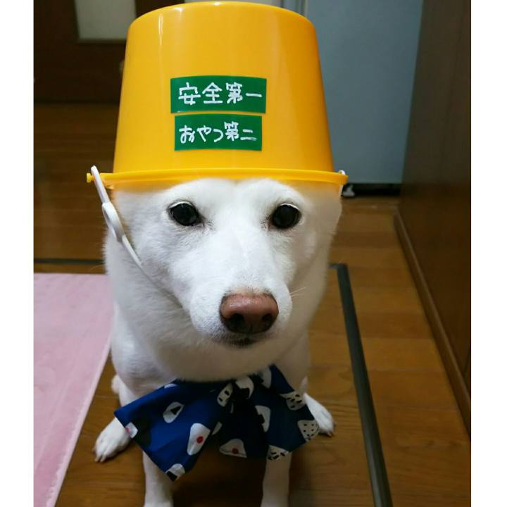 0d15ab0e eab3 411a a8f5 babdaadd0ef3 1538214215686