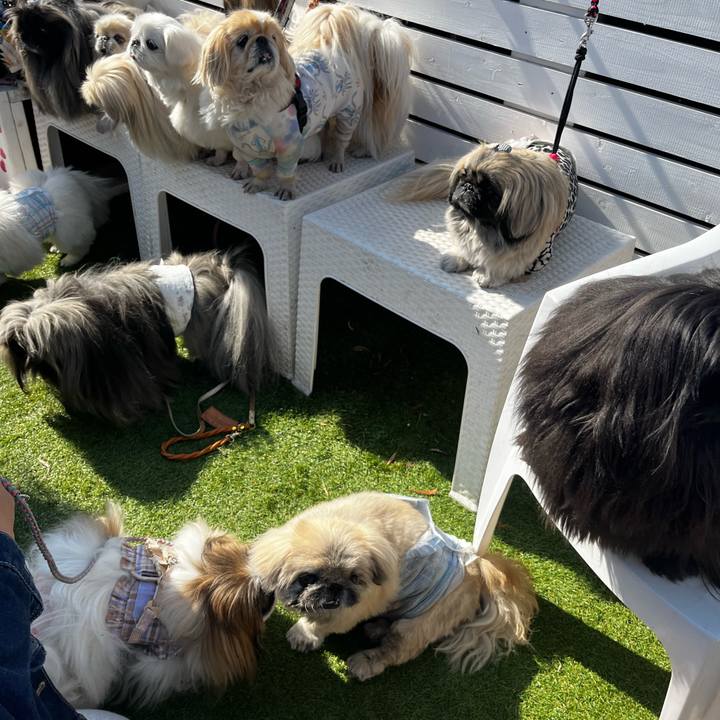 0d15ae39 ddb1 438b b0ed 3d868a87171c 1771143388303