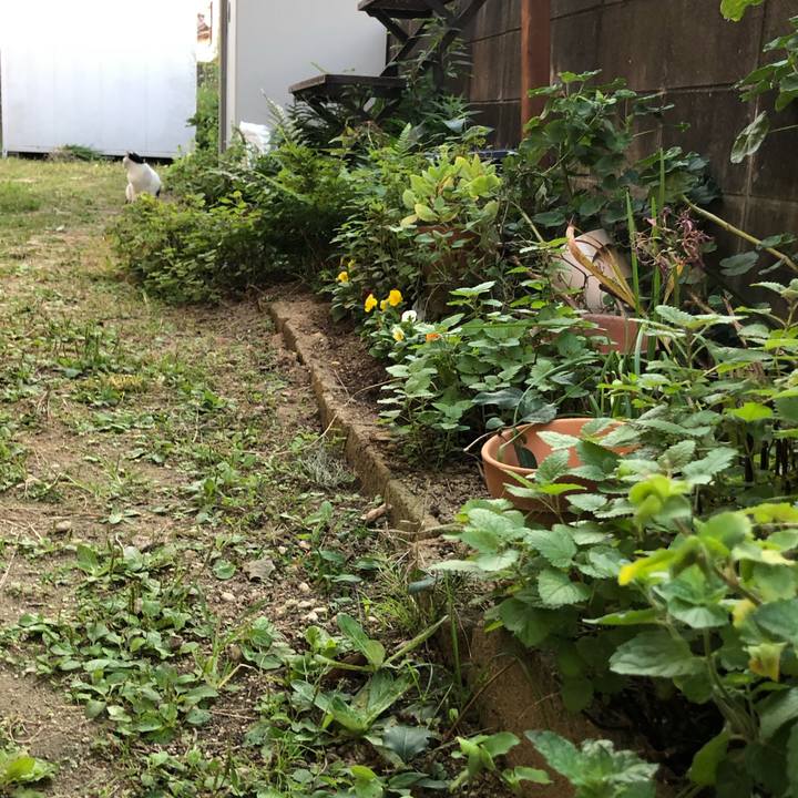 0d160205 47fd 4d0c bccf 5f34f42da7c7 1602628292800