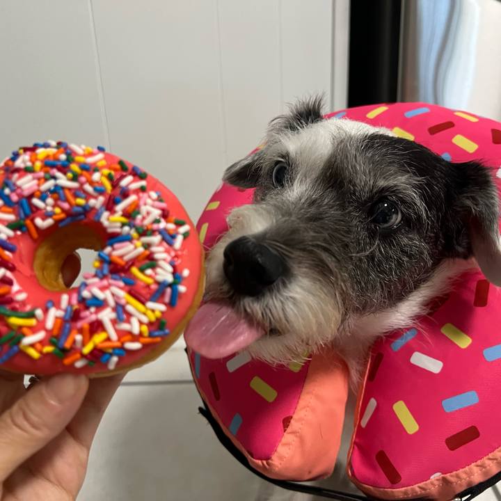 0d160990 e351 4dc4 89f4 609dab978f8f 1693520150567