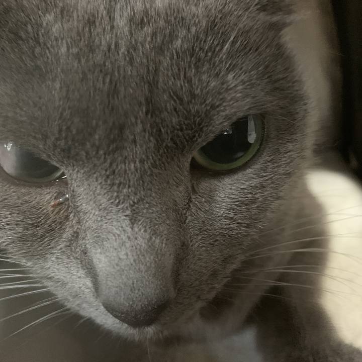 0d165aba f916 4d65 9082 481065261132 1619575473343