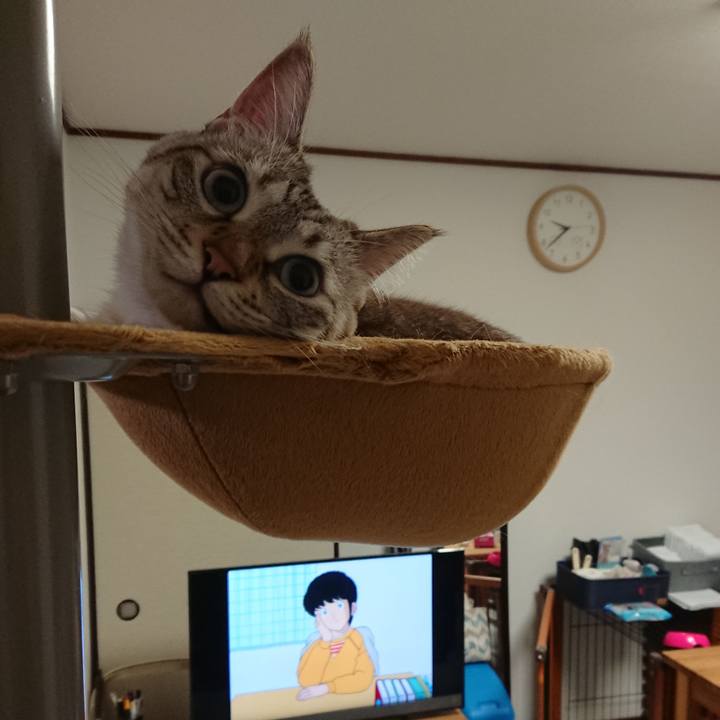 0d16603f e1f1 42e1 88cd a1f07e77eefa 1569415146390